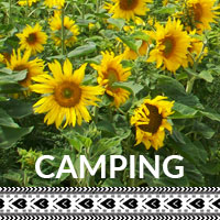 album_camping