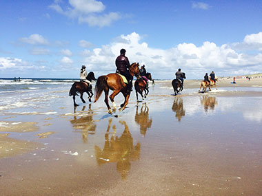 Healthy holiday - Paardrijden in Zeeland