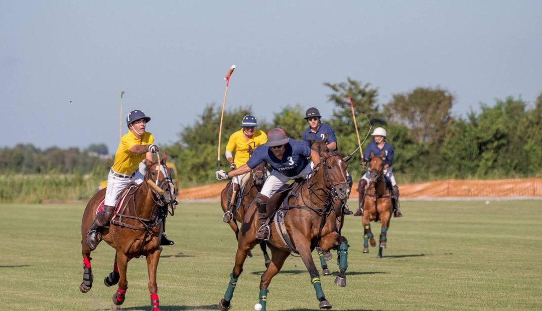 Polo met paarden