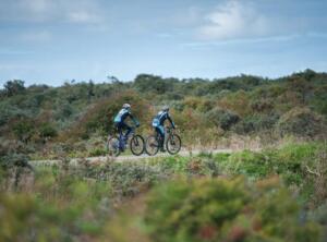 Mountainbikers